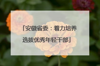 安徽省委：着力培养选拔优秀年轻干部
