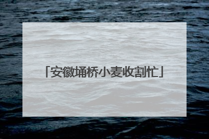 安徽埇桥小麦收割忙