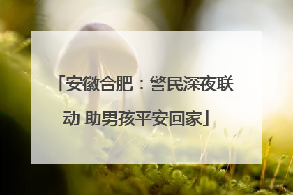 安徽合肥：警民深夜联动 助男孩平安回家