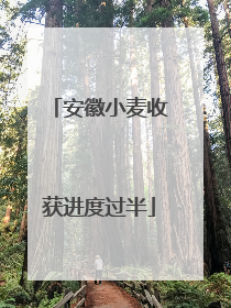 安徽小麦收获进度过半