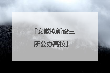 安徽拟新设三所公办高校