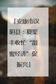 安康市汉阴县：夏果丰收忙“甜蜜经济”促振兴