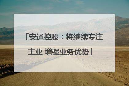 安通控股：将继续专注主业 增强业务优势