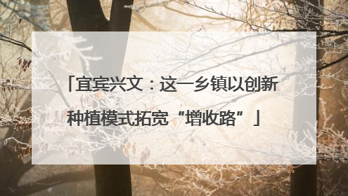 宜宾兴文：这一乡镇以创新种植模式拓宽“增收路”