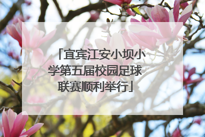 宜宾江安小坝小学第五届校园足球联赛顺利举行