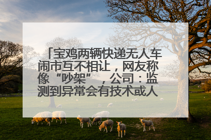 宝鸡两辆快递无人车闹市互不相让，网友称像“吵架”，公司：监测到异常会有技术或人为干预处置