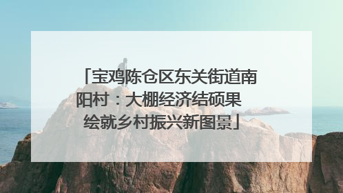 宝鸡陈仓区东关街道南阳村：大棚经济结硕果 绘就乡村振兴新图景