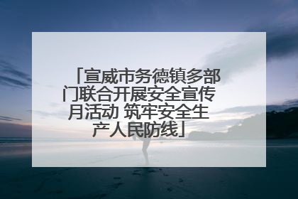 宣威市务德镇多部门联合开展安全宣传月活动 筑牢安全生产人民防线