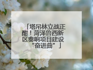 塔吊林立战正酣!菏泽鲁西新区奏响项目建设“奋进曲”