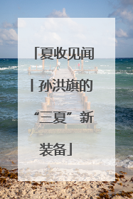 夏收见闻丨孙洪旗的“三夏”新装备