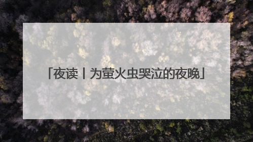 夜读丨为萤火虫哭泣的夜晚