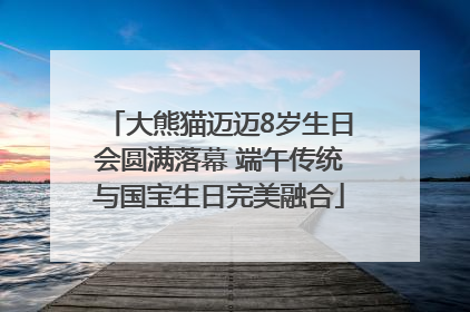 大熊猫迈迈8岁生日会圆满落幕 端午传统与国宝生日完美融合