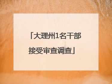 大理州1名干部接受审查调查