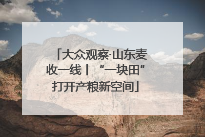 大众观察·山东麦收一线丨“一块田”打开产粮新空间