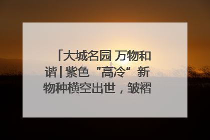 大城名园 万物和谐│紫色“高冷”新物种横空出世，皱褶叶片暗藏进化密码