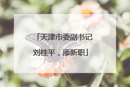 天津市委副书记刘桂平，添新职