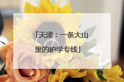 天津：一条大山里的护学专线