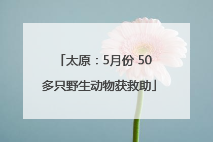 太原：5月份 50多只野生动物获救助