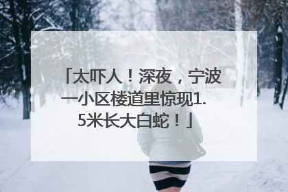 太吓人！深夜，宁波一小区楼道里惊现1.5米长大白蛇！