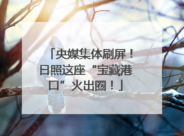 央媒集体刷屏！日照这座“宝藏港口”火出圈！