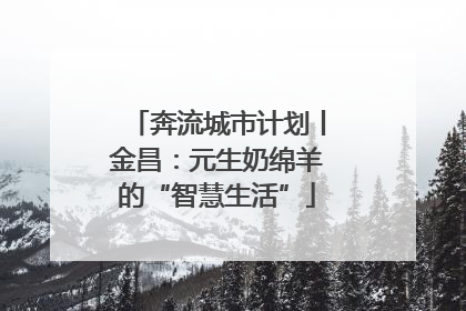 奔流城市计划丨金昌：元生奶绵羊的“智慧生活”