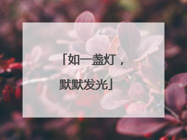 如一盏灯，默默发光