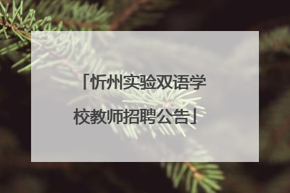 忻州实验双语学校教师招聘公告