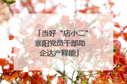 当好“店小二” 襄阳党员干部助企达产释能