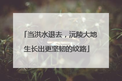 当洪水退去，沅陵大地生长出更坚韧的纹路