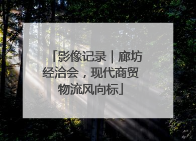 影像记录｜廊坊经洽会，现代商贸物流风向标