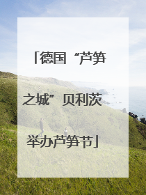 德国“芦笋之城”贝利茨举办芦笋节