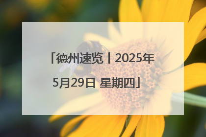 德州速览丨2025年5月29日 星期四