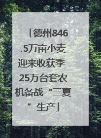 德州846.5万亩小麦迎来收获季 25万台套农机备战“三夏”生产