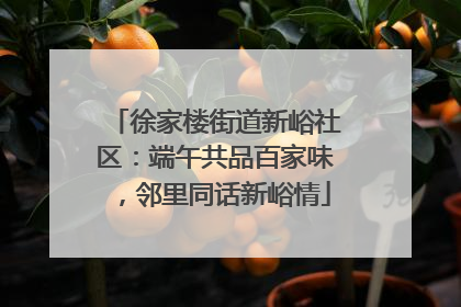 徐家楼街道新峪社区：端午共品百家味，邻里同话新峪情