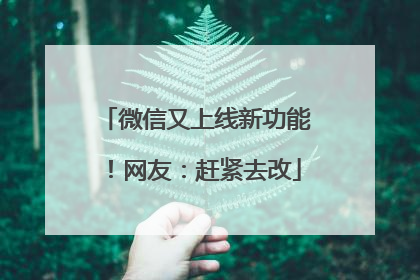 微信又上线新功能！网友：赶紧去改