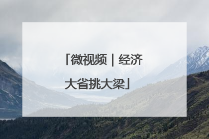 微视频｜经济大省挑大梁