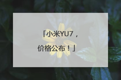 小米YU7，价格公布！