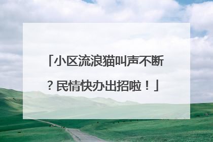 小区流浪猫叫声不断？民情快办出招啦！