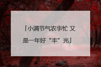 小满节气农事忙 又是一年好“丰”光