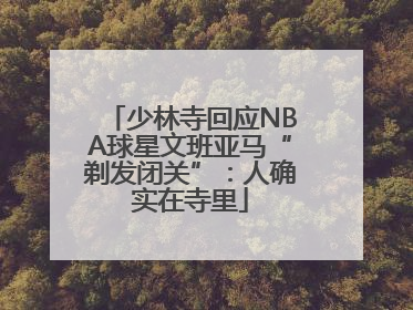 少林寺回应NBA球星文班亚马“剃发闭关”：人确实在寺里