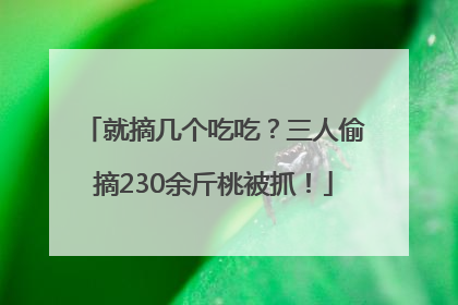 就摘几个吃吃？三人偷摘230余斤桃被抓！
