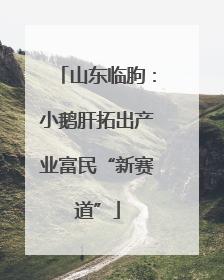 山东临朐：小鹅肝拓出产业富民“新赛道”