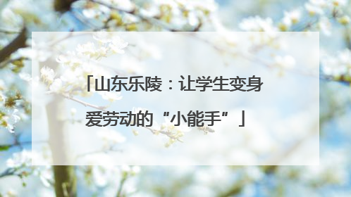山东乐陵：让学生变身爱劳动的“小能手”