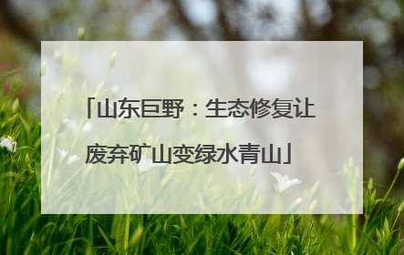 山东巨野：生态修复让废弃矿山变绿水青山