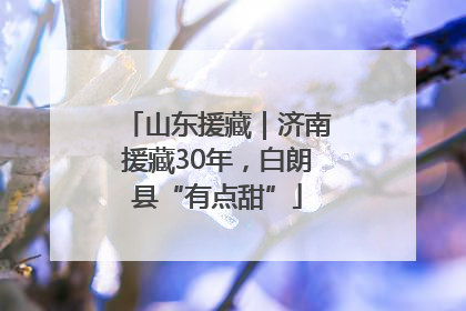 山东援藏｜济南援藏30年，白朗县“有点甜”