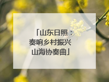 山东日照：奏响乡村振兴山海协奏曲