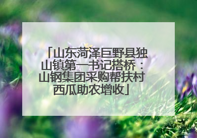 山东菏泽巨野县独山镇第一书记搭桥：山钢集团采购帮扶村西瓜助农增收