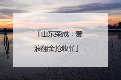 山东荣成：麦浪翻金抢收忙