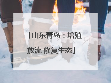山东青岛:增殖放流 修复生态