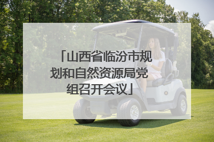 山西省临汾市规划和自然资源局党组召开会议